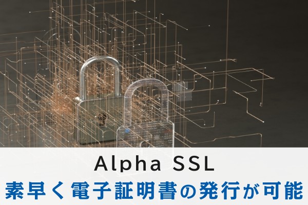 Alpha SSL、素早く電子証明書の発行が可能